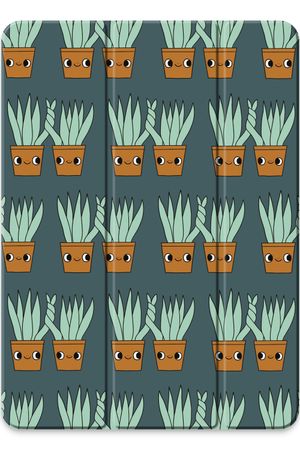 Sansevieria