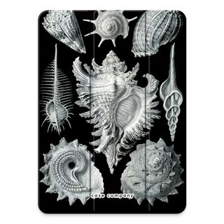 Haeckel Prosobranchia