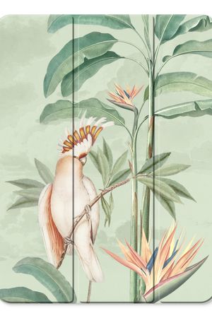 Tropical Parrot