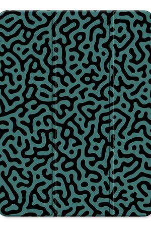 Turing pattern