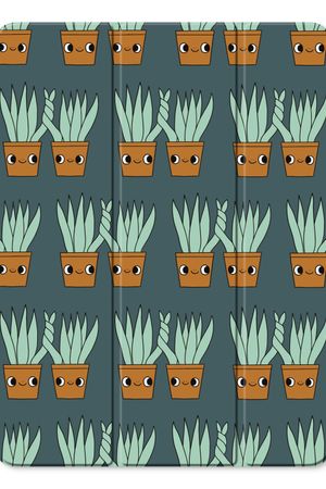 Sansevieria
