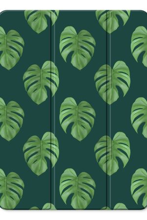 Monstera leaves