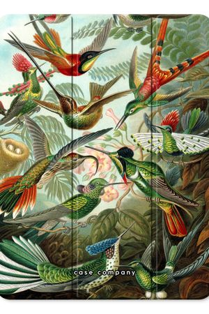 Haeckel Trochilidae