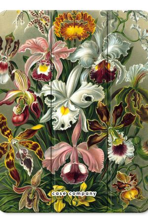 Haeckel Orchidae