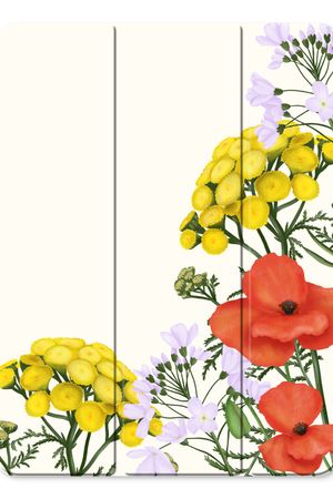 Fleurs sauvages