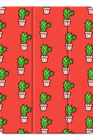 Mini cactus