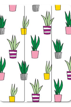 Sanseveria