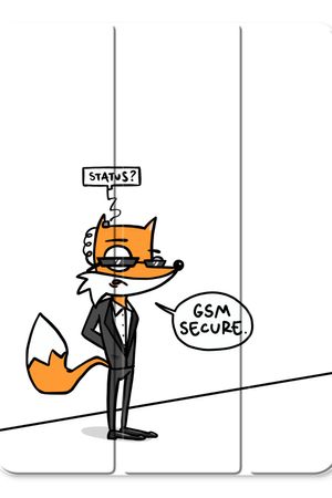GSM secure