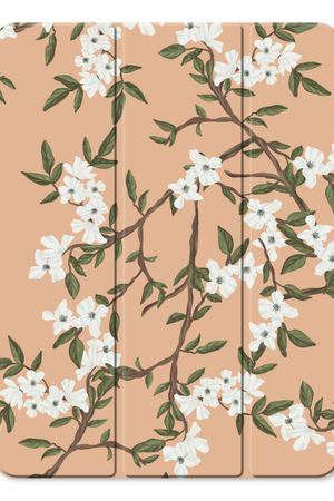 Blossoming spring