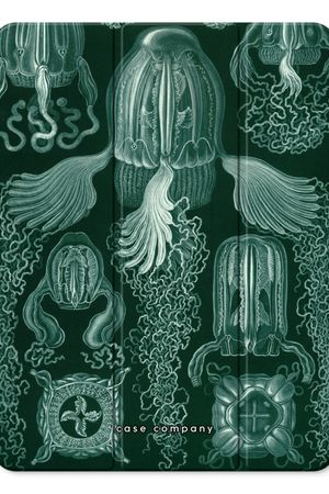 Haeckel Cubomedusae