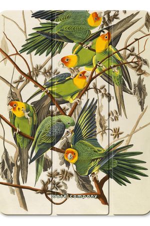 Carolina Parrot