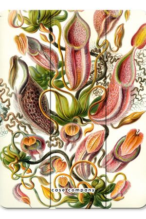 Haeckel Nepenthaceae