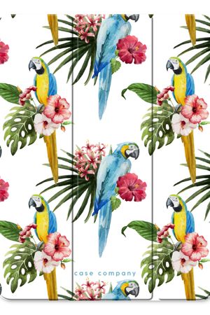 Colourful parrots