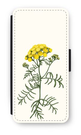 Tansy