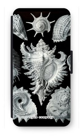 Haeckel Prosobranchia
