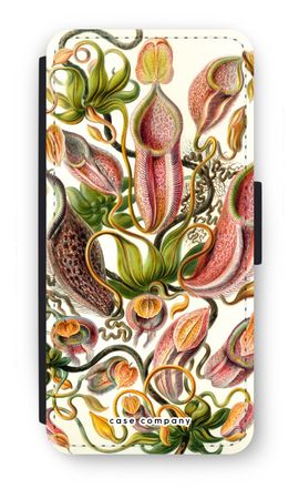 Haeckel Nepenthaceae