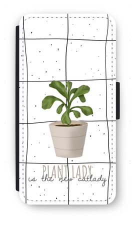 Houseplant on windowpane