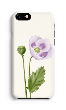Purple poppy