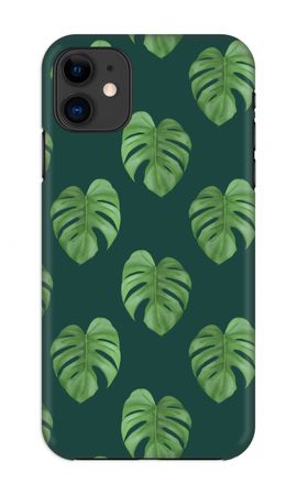 Monstera leaves