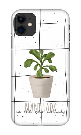 Houseplant on windowpane