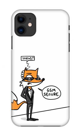 GSM secure