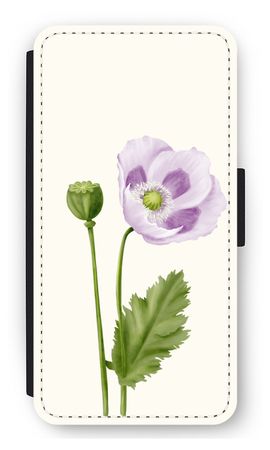 Purple poppy
