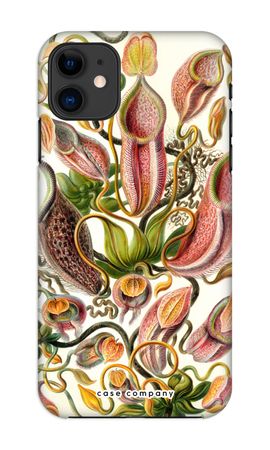 Haeckel Nepenthaceae