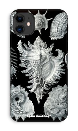 Haeckel Prosobranchia