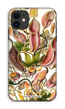 Haeckel Nepenthaceae