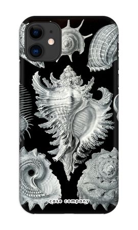 Haeckel Prosobranchia