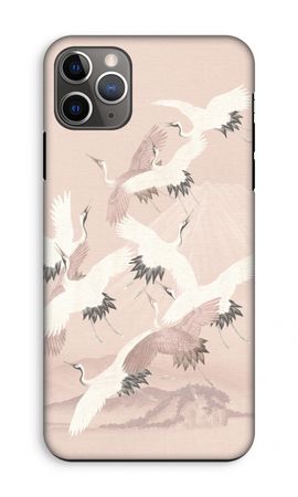 Japanese Crane Birds