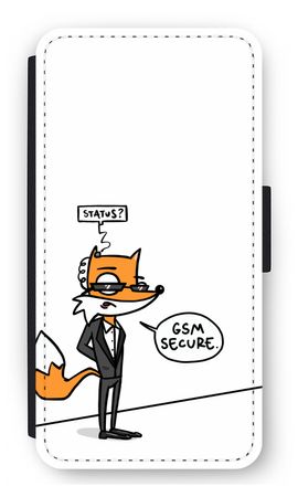 GSM secure