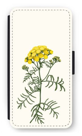 Tansy