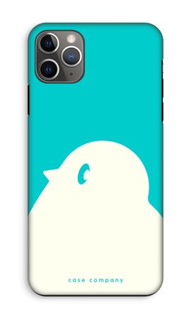 BIG Robin 2