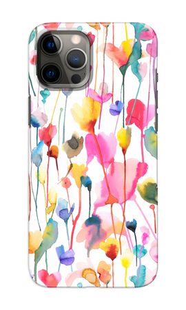 Wild Colorful Flowers