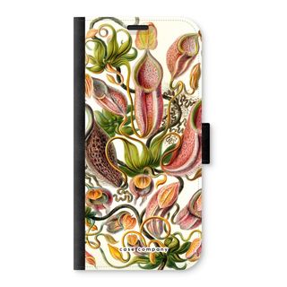 Haeckel Nepenthaceae