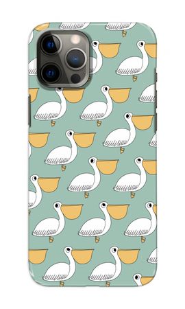 Pelican