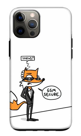GSM secure