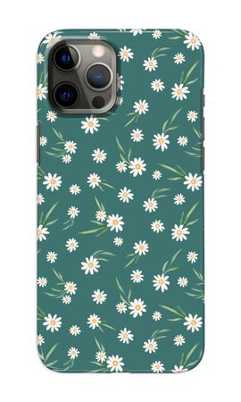 Petites marguerites