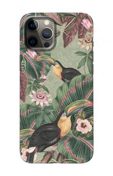 Tucán de la selva tropical