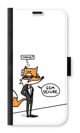 GSM secure