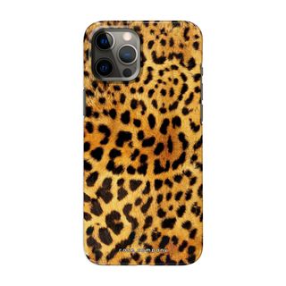 Gepard