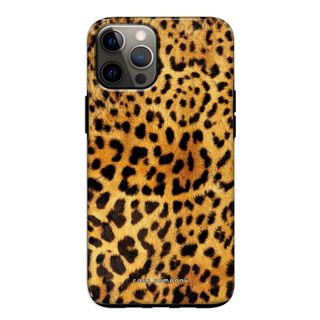Gepard