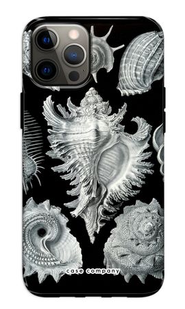 Haeckel Prosobranchia