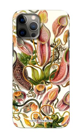 Haeckel Nepenthaceae