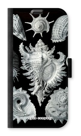 Haeckel Prosobranchia