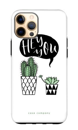Hey you cactus