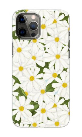 Summer Daisies