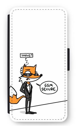 GSM secure