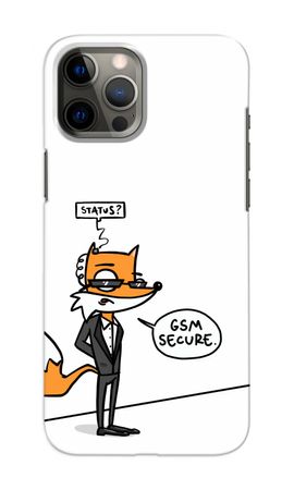 GSM secure